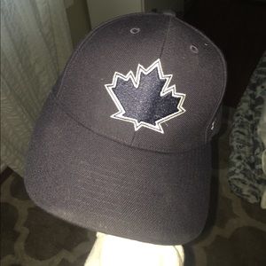 Toronto Blue Jays Hat